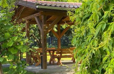 Mazurska Zagroda - Żabi Rechot - dom - stodoła - jacuzi-sauna - Photo 49