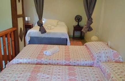 Estrela da noite - Foto 8