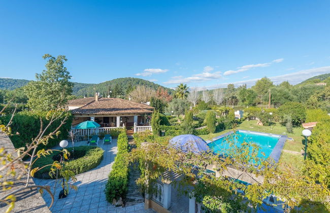 Hibiscus in Sa Pobla - Foto 6