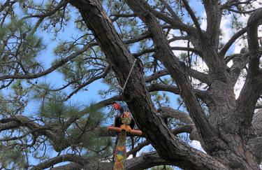 Addy's Villas - Foto 68