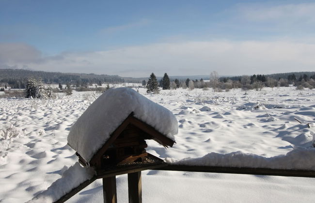 Cozy Forest Chalet Escape - Photo 36