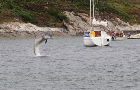 The Wee Housie, Talmine - Foto 15