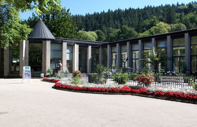 Nature & Wellness in Sohl - Photo 39