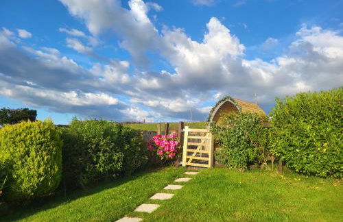 Bwthyn Plas Hafod Cottage - Photo 24