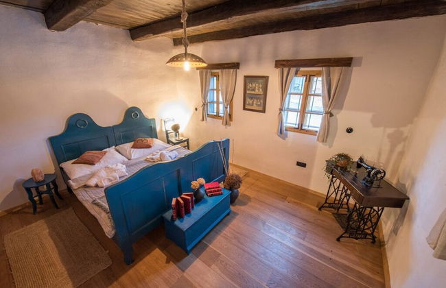 Goricke Ize - Foto 3