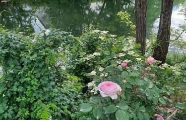 Gospic Riverside Apartment - Photo 18