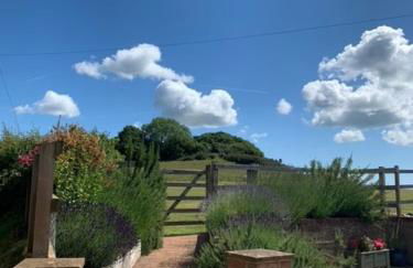 Queen Bower Farm Lodge - Foto 88