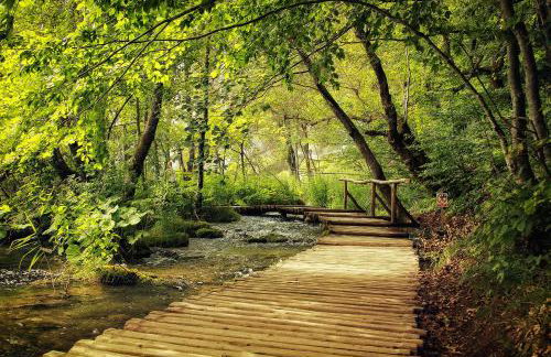 Holiday Home David - Foto 52