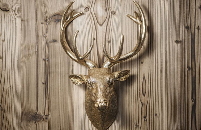 Platzhirsch Apart & Mayrhofen - Foto 25