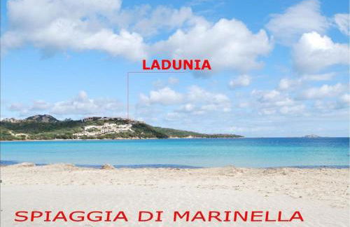 La tartaruga - Photo 36