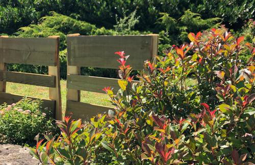 Les choses de la vie - Foto 42