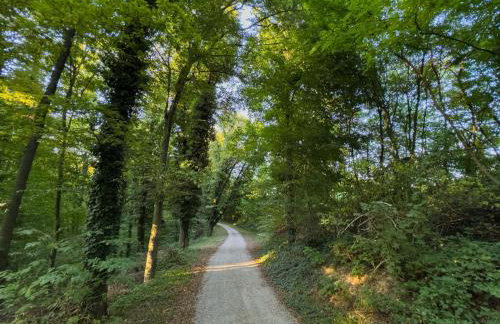 Luxury apartments Villa Wood NEW - Foto 65