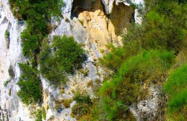 Villa Spiti Ute - Foto 49