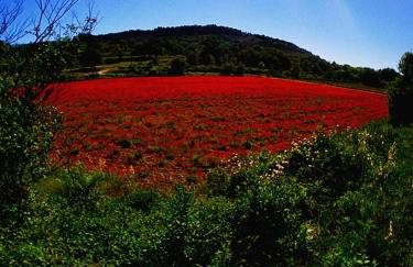 La perle de Gordes - Photo 75