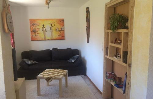 Urlaub mit Blick auf Schiltachs Fachwerkhäuser - Foto 6