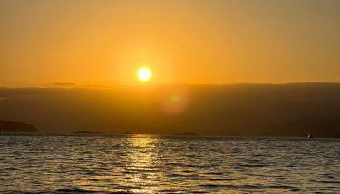 Casinha verde - Foto 5