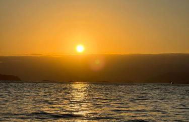 Casinha verde - Foto 5