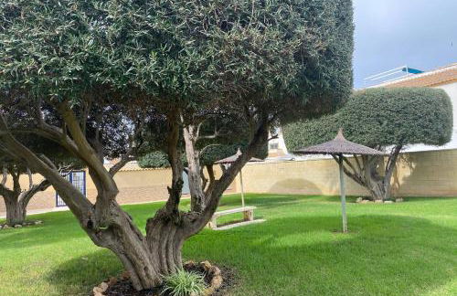 Appartment with equipped solarium barbecue and swimming pool - Foto 26