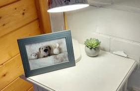 Ferienwohnungen Sonnenhalde mit schöner Aussicht - Foto 9