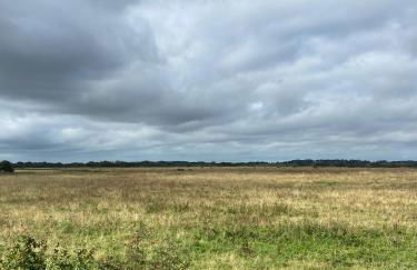 Swedish Rustic Cabin perfect for bird watching - Foto 11