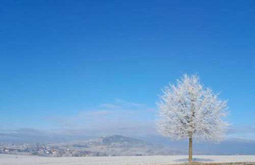 Fewo Waldtherme Relaxen, wandern, Radfahren - Foto 48
