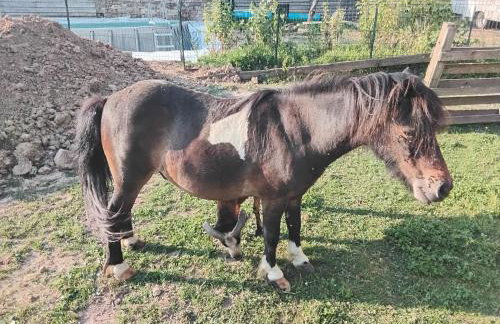 Maison Western - Foto 15