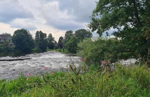Ferienwohnung besonderer Art - Foto 35