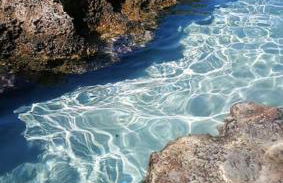 Sapore di Puglia - 140 mt dal mare - Foto 36