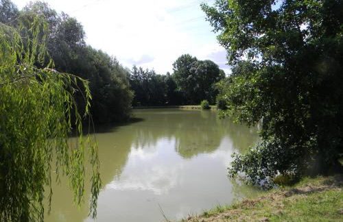 Domaine Des Mille Oiseaux - Foto 80