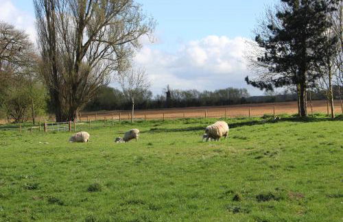 Charney Manor - Photo 28