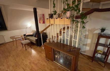 Großzügige Maisonette Wohnung über den Dächern Leipzigs - Foto 11