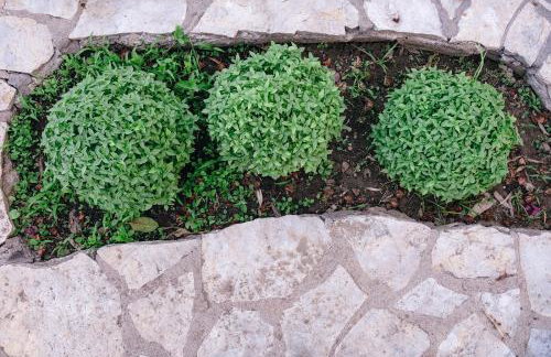 Villa Methoni Gem - Foto 65