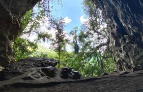 Casa Petar Betari - Foto 69