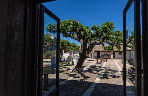 Fattoria Manostalla Villa Chiarelli - Foto 75