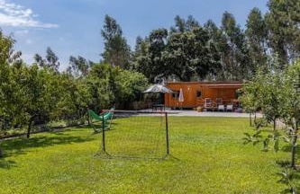 Porto Maia Garden - Foto 8