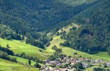 Grüner Wohnen im Alten Schulhaus - Foto 24