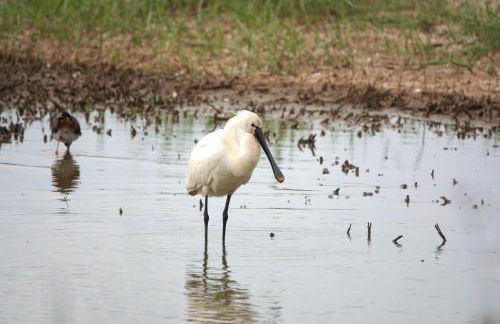 Old Hunstanton luxury by the sea - Foto 29