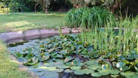A due passi dal lago - Photo 2, Garden