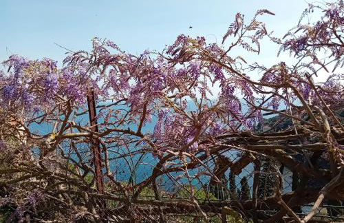 Casa Bella 'Mbriana - Foto 38