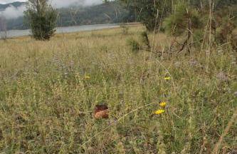 Lorica Apartment Residence LagoSila - Foto 6