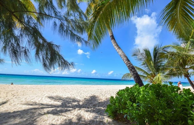 Modern 2-bed Apt Near Beach In St. Lawrence Gap 2 Bedroom Apts by Bluescape - Foto 62