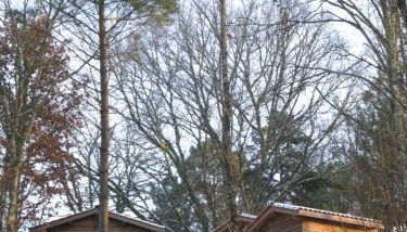 Les Cabanes du Tertre - Foto 3