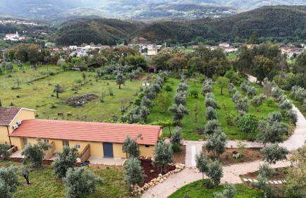 Quinta-lina de serpins - Foto 18