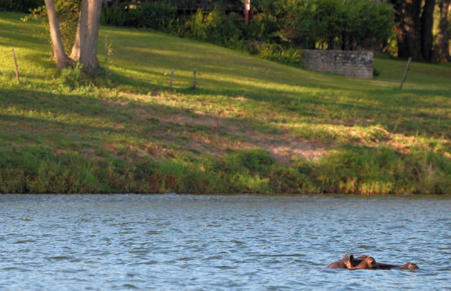 Kayube Estates - Foto 58