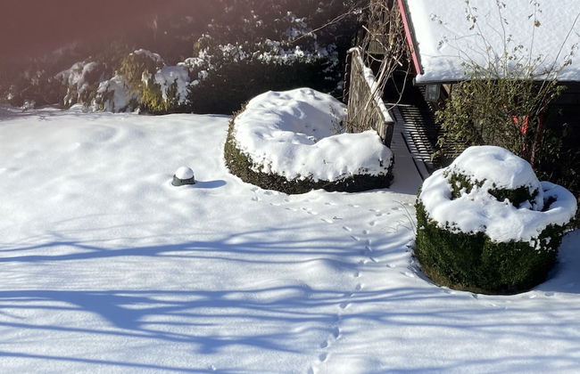 Cosy Holiday Home in Olsberg With Garden - Foto 39