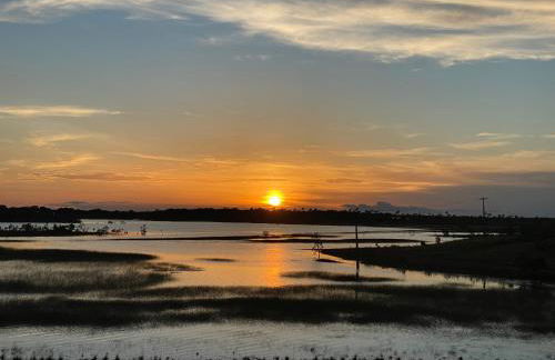 Fazenda Buritizal Grosso - Photo 9