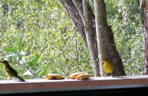 Sítio Cumuru - Foto 40