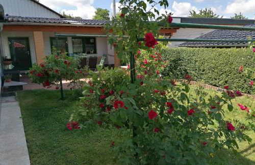 Ferienhaus Putzke - Foto 6