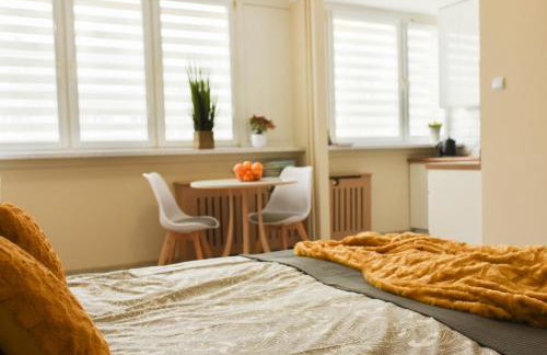 Apartament Studio Klasztorna - Foto 2