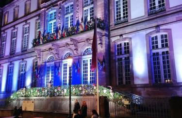 Strasbourg Pont de l'Europe - Foto 18